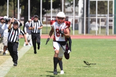 buhos-ipn-frailes-tepeyac-onefa-2023-59