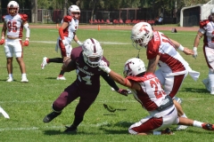 buhos-ipn-frailes-tepeyac-onefa-2023-6