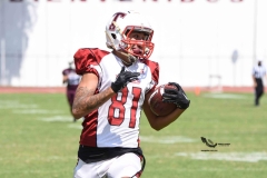 buhos-ipn-frailes-tepeyac-onefa-2023-63