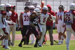 buhos-ipn-frailes-tepeyac-onefa-2023-67