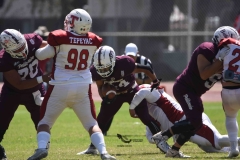 buhos-ipn-frailes-tepeyac-onefa-2023-68