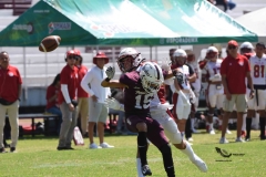 buhos-ipn-frailes-tepeyac-onefa-2023-69
