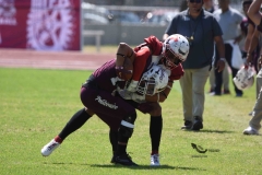 buhos-ipn-frailes-tepeyac-onefa-2023-72
