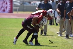 buhos-ipn-frailes-tepeyac-onefa-2023-73