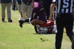 buhos-ipn-frailes-tepeyac-onefa-2023-74