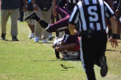buhos-ipn-frailes-tepeyac-onefa-2023-75