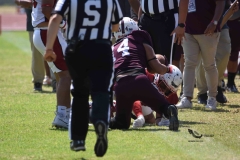 buhos-ipn-frailes-tepeyac-onefa-2023-76