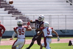 buhos-ipn-frailes-tepeyac-onefa-2023-77