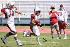 buhos-ipn-frailes-tepeyac-onefa-2023-84