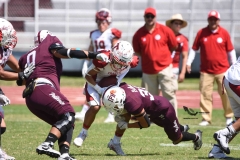 buhos-ipn-frailes-tepeyac-onefa-2023-90