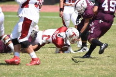 buhos-ipn-frailes-tepeyac-onefa-2023-92