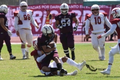 buhos-ipn-frailes-tepeyac-onefa-2023-97