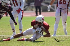 buhos-ipn-frailes-tepeyac-onefa-2023-98