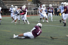 buhos-ipn-halcones-uv-onefa-2023-11