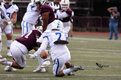 buhos-ipn-halcones-uv-onefa-2023-24