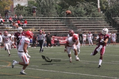 buhos-ipn-red-wolves-queretaro-2022-onefa-23