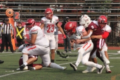 buhos-ipn-red-wolves-queretaro-2022-onefa-42