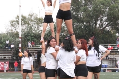 buhos-ipn-red-wolves-queretaro-2022-onefa-52