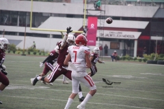 buhos-ipn-red-wolves-queretaro-2022-onefa-59