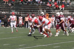 buhos-ipn-red-wolves-queretaro-2022-onefa-8