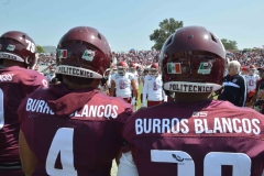 aguilas-blancas-burros-blancos-2023-onefa-10