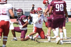 aguilas-blancas-burros-blancos-2023-onefa-100