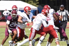 aguilas-blancas-burros-blancos-2023-onefa-101