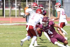 aguilas-blancas-burros-blancos-2023-onefa-102