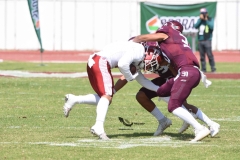 aguilas-blancas-burros-blancos-2023-onefa-103