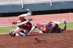 aguilas-blancas-burros-blancos-2023-onefa-111