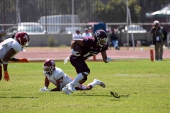 aguilas-blancas-burros-blancos-2023-onefa-123