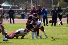 aguilas-blancas-burros-blancos-2023-onefa-124