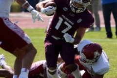 aguilas-blancas-burros-blancos-2023-onefa-125