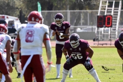 aguilas-blancas-burros-blancos-2023-onefa-130