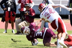 aguilas-blancas-burros-blancos-2023-onefa-135