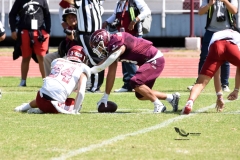 aguilas-blancas-burros-blancos-2023-onefa-136