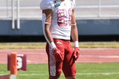 aguilas-blancas-burros-blancos-2023-onefa-143