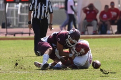 aguilas-blancas-burros-blancos-2023-onefa-145