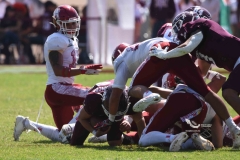 aguilas-blancas-burros-blancos-2023-onefa-146