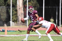 aguilas-blancas-burros-blancos-2023-onefa-163