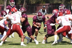 aguilas-blancas-burros-blancos-2023-onefa-170