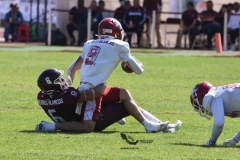 aguilas-blancas-burros-blancos-2023-onefa-174