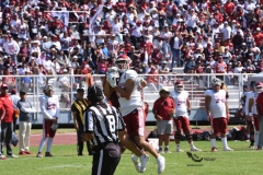 aguilas-blancas-burros-blancos-2023-onefa-177