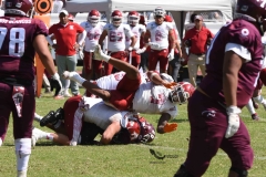 aguilas-blancas-burros-blancos-2023-onefa-190