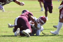 aguilas-blancas-burros-blancos-2023-onefa-205