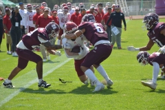aguilas-blancas-burros-blancos-2023-onefa-21