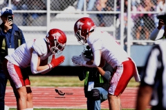aguilas-blancas-burros-blancos-2023-onefa-215
