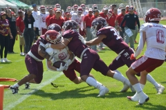 aguilas-blancas-burros-blancos-2023-onefa-22
