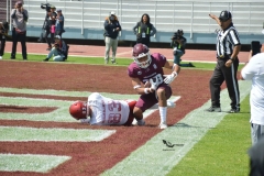 aguilas-blancas-burros-blancos-2023-onefa-28