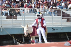 aguilas-blancas-burros-blancos-2023-onefa-37